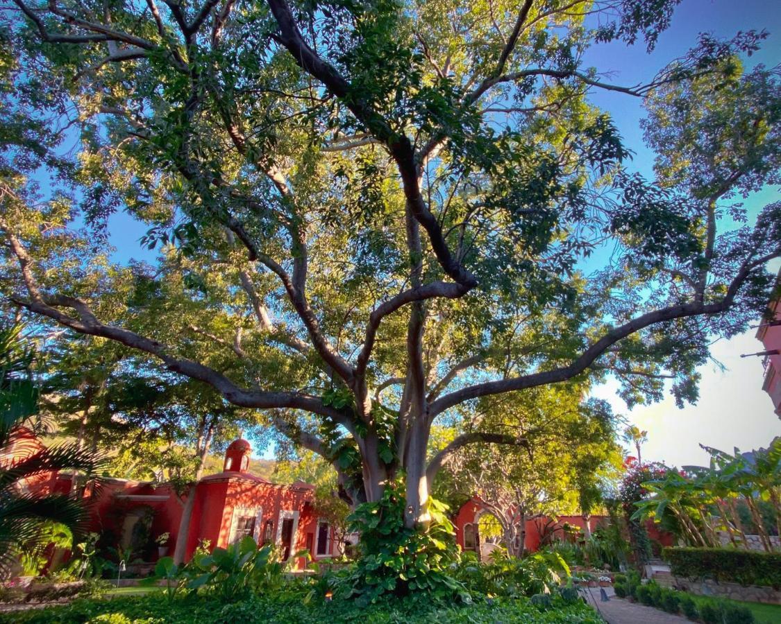 Hacienda De Los Santos Álamos Exteriér fotografie
