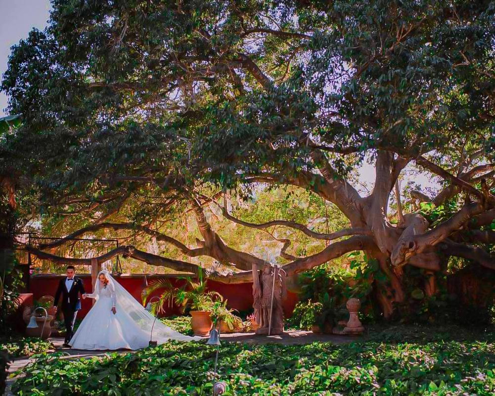 Hacienda De Los Santos Álamos Exteriér fotografie